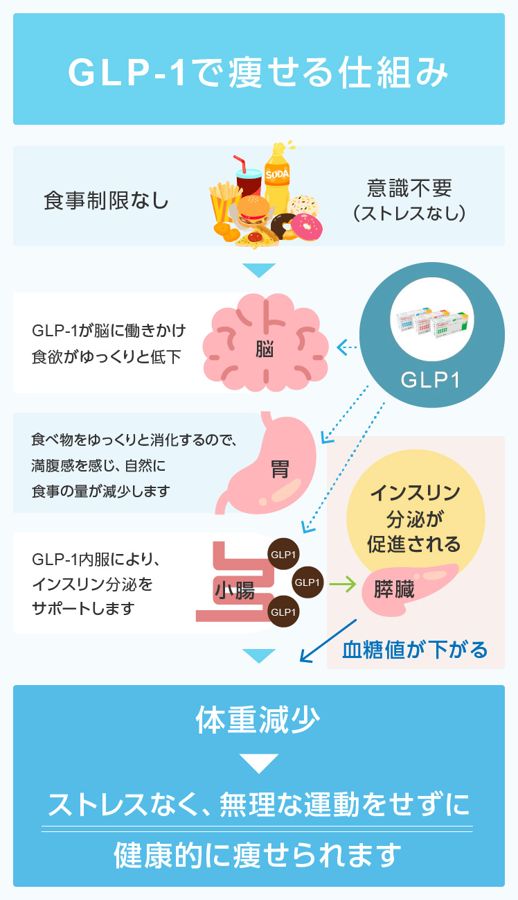 GLP-1で痩せる仕組み 食事制限なし・意識不要（ストレスなし）→GLP-1が脳に働きかけ食欲がゆっくり低下→食べ物をゆっくりと消化するので、満腹感を感じ、自然に食事の量が減少しますz；GLP-1内服により、インスリン分泌をサポートします→膵臓でインスリン分泌が促進される→血糖値が下がる→体重減少→ストレスなく、無理な運動をせずに健康的に痩せられます